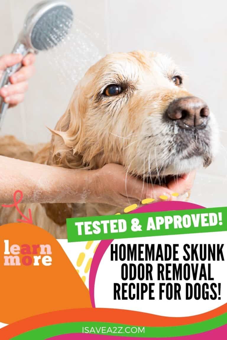 Natures Miracle Skunk Odor Removal for dogs! Best Remedy ever!