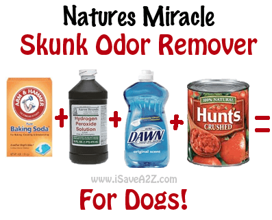 nature's miracle skunk odor remover