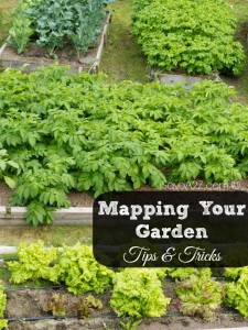 Tips for Mapping Out Your Garden - iSaveA2Z.com