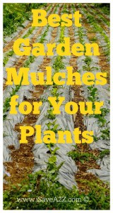 Best Garden Mulch for Your Plants - iSaveA2Z.com