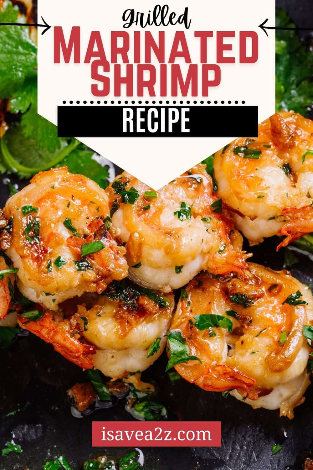 Grilled Marinated Shrimp - iSaveA2Z.com