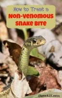 How to Treat a Non-Venomous Snake Bite - iSaveA2Z.com