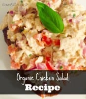 Organic Chicken Salad - iSaveA2Z.com