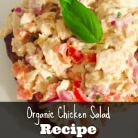 Organic Chicken Salad - iSaveA2Z.com