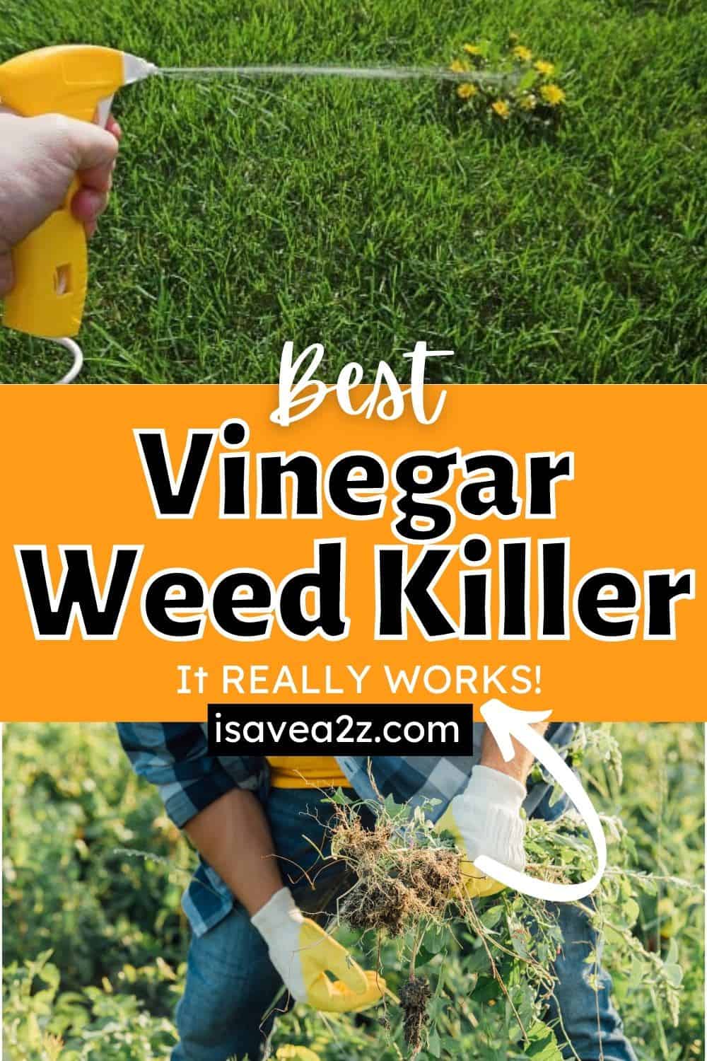 Using Vinegar As A Simple Homemade Weed Killer - iSaveA2Z.com