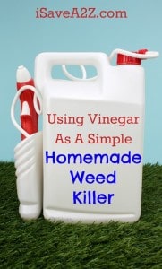 Using Vinegar As A Simple Homemade Weed Killer - Isavea2z.com