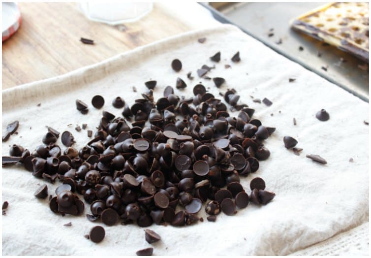 Homemade Keto Chocolate Chips (Sugar Free and Low Carb)